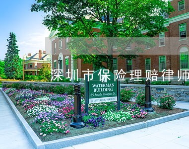 深圳市保险理赔律师 深圳市保险理赔律师