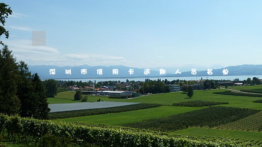 深圳市信用卡逾期人员名单