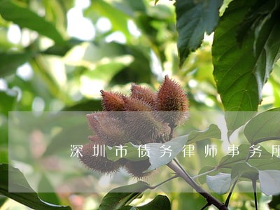 深圳市债务律师事务所免费咨询 深圳市债务律师事务所免费咨询