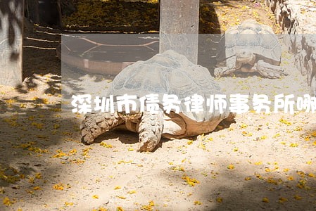 深圳市债务律师事务所哪家好