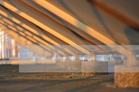 深圳市债务律师团队 深圳市债务律师团队