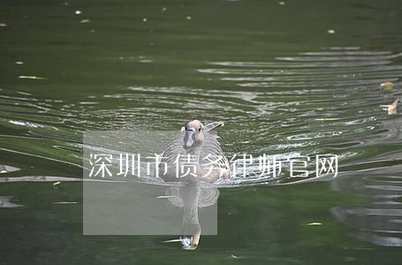 深圳市债务律师官网 深圳市债务律师官网