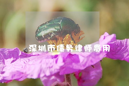 深圳市债务律师费用 深圳市债务律师费用
