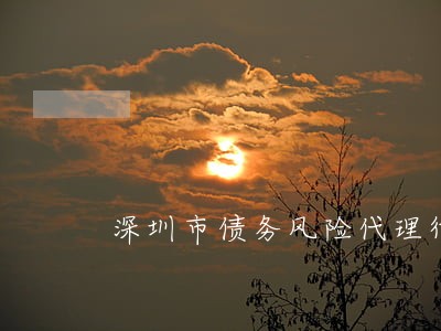 深圳市债务风险代理律师在线咨询 深圳市债务风险代理律师在线咨询