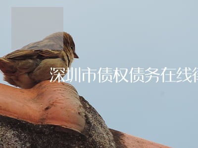 深圳市债权债务在线律师 深圳市债权债务在线律师