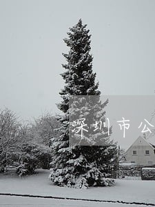 深圳市公司合同案律师委托步骤 深圳市公司合同案律师委托步骤