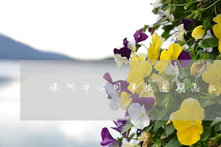 深圳市公司年报逾期怎么办 深圳市公司年报逾期怎么办