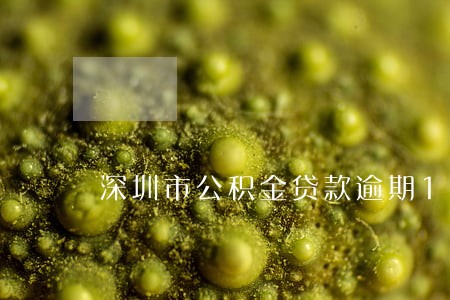 深圳市公积金贷款逾期1天 深圳市公积金贷款逾期1天