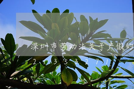 深圳市劳动法关于产假的解释/2023021353271 深圳市劳动法关于产假的解释/2023021353271