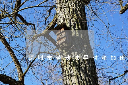 深圳市劳动法平时和加班费 深圳市劳动法平时和加班费