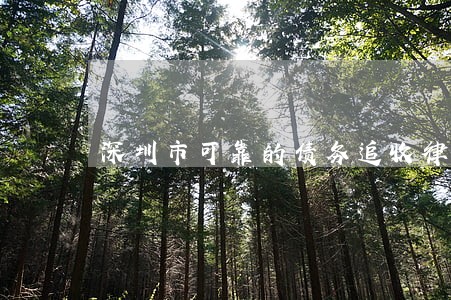 深圳市可靠的债务追收律师介绍 深圳市可靠的债务追收律师介绍