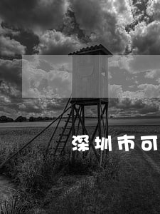 深圳市可靠的债务风险代理律师 深圳市可靠的债务风险代理律师
