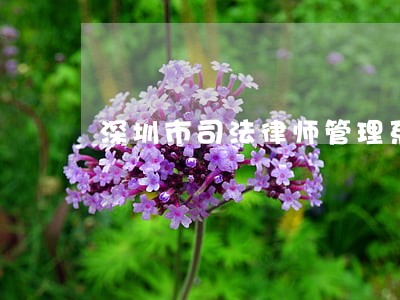 深圳市司法律师管理系统