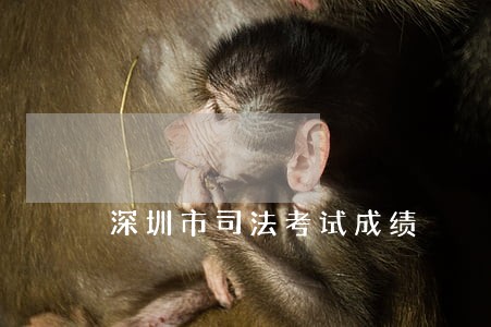 深圳市司法考试成绩 深圳市司法考试成绩