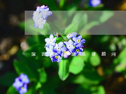 深圳市启业法律顾问 深圳市启业法律顾问