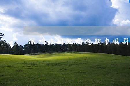 深圳市国税局逾期申报罚款 深圳市国税局逾期申报罚款