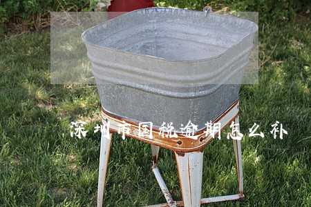 深圳市国税逾期怎么补 深圳市国税逾期怎么补