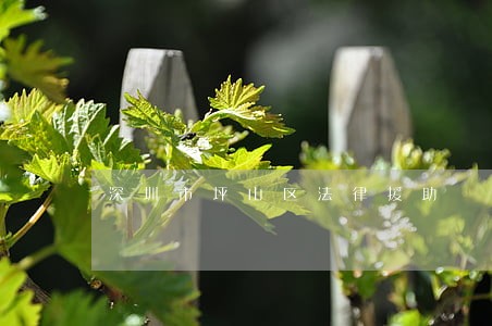 深圳市坪山区法律援助 深圳市坪山区法律援助