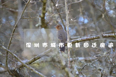 深圳市城市更新回迁房逾期 深圳市城市更新回迁房逾期