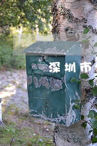 深圳市季报逾期怎么办 深圳市季报逾期怎么办