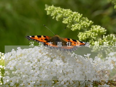 深圳市居住证逾期签注 深圳市居住证逾期签注
