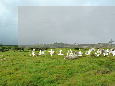 深圳市工伤法律咨询免费 深圳市工伤法律咨询免费