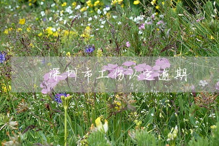 深圳市工伤认定逾期 深圳市工伤认定逾期