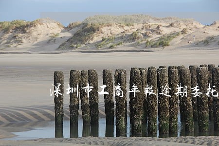 深圳市工商年报逾期委托书