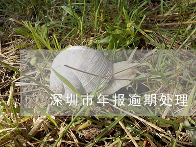深圳市年报逾期处理
