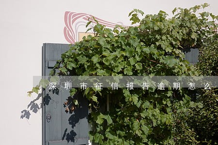 深圳市征信报告逾期怎么办 深圳市征信报告逾期怎么办