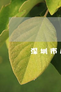 深圳市房地产律师 深圳市房地产律师