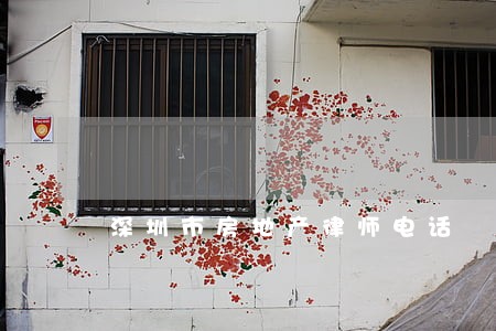 深圳市房地产律师电话 深圳市房地产律师电话