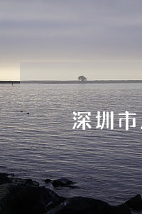 深圳市房屋逾期办证违约金 深圳市房屋逾期办证违约金