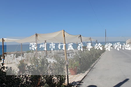 深圳市打医疗事故律师池国亮