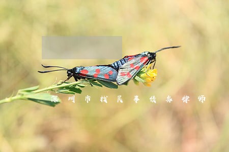 深圳市找民事债务律师 深圳市找民事债务律师