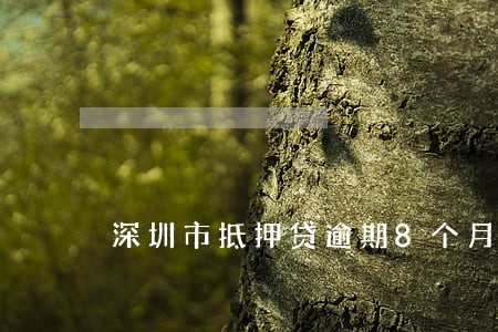 深圳市抵押贷逾期8个月怎么办 深圳市抵押贷逾期8个月怎么办