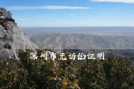 深圳市无诉讼证明 深圳市无诉讼证明
