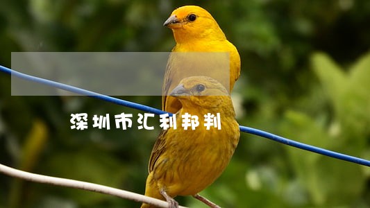 深圳市汇利邦判