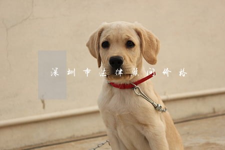 深圳市法律顾问价格 深圳市法律顾问价格