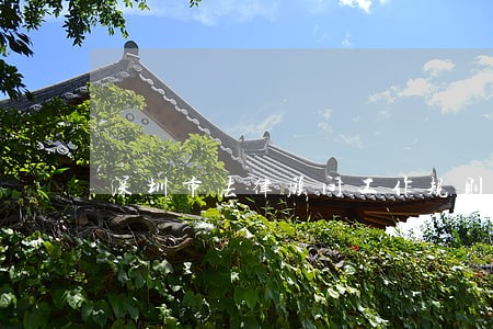 深圳市法律顾问工作规则 深圳市法律顾问工作规则