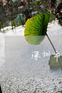深圳市法律顾问收费标准 深圳市法律顾问收费标准