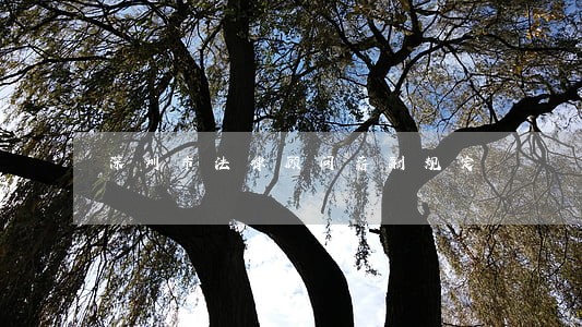 深圳市法律顾问薪酬规定 深圳市法律顾问薪酬规定