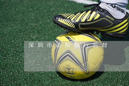 深圳市法院执行监督 深圳市法院执行监督