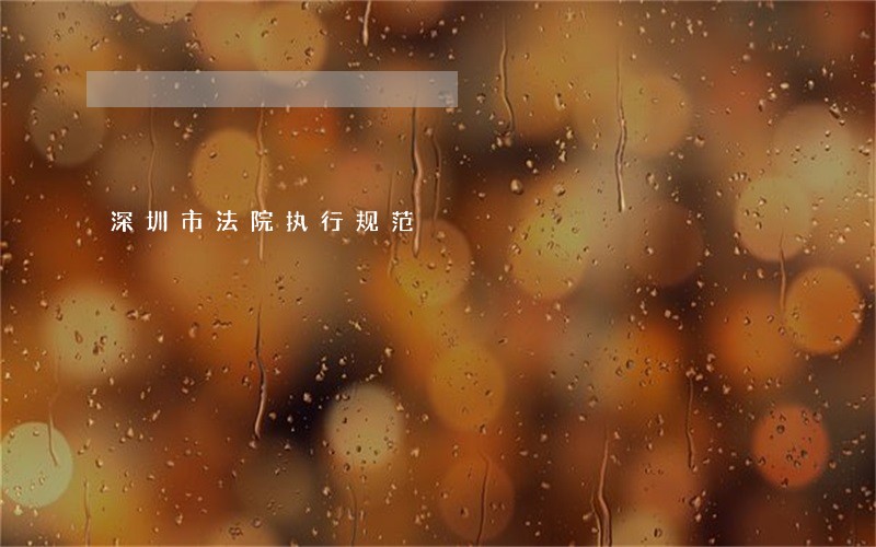 深圳市法院执行规范