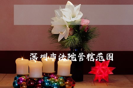 深圳市法院管辖范围