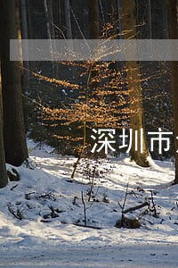 深圳市法院聘用制书记员工资 深圳市法院聘用制书记员工资