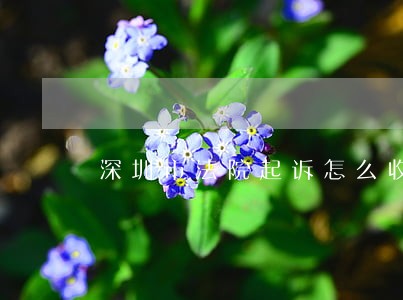 深圳市法院起诉怎么收费