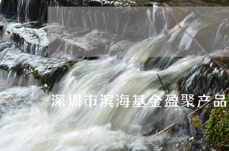 深圳市滨海基金盈聚产品逾期 深圳市滨海基金盈聚产品逾期