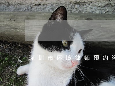 深圳市环境律师预约咨询