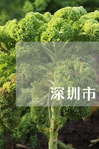深圳市用水计划逾期了怎么办 深圳市用水计划逾期了怎么办